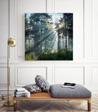 Hope by Dominika Aniola on GIANT ART - green photo illustration