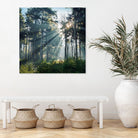 Hope by Dominika Aniola on GIANT ART - green photo illustration