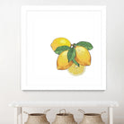 Limoncello by Oriana Cordero on GIANT ART - yellow photo illustration