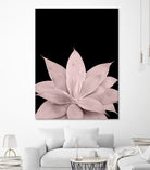 Blush Agave on Black #1 #tropical #decor #art by Anita & Bella Jantz on GIANT ART - pink photo illustration