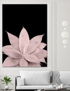 Blush Agave on Black #1 #tropical #decor #art by Anita & Bella Jantz on GIANT ART - pink photo illustration