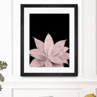 Blush Agave on Black #1 #tropical #decor #art by Anita & Bella Jantz on GIANT ART - pink photo illustration