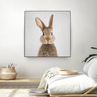 Rabbit - Colorful by Gal Pittel on GIANT ART - brown photo manipulation