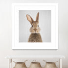 Rabbit - Colorful by Gal Pittel on GIANT ART - brown photo manipulation