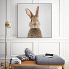 Rabbit - Colorful by Gal Pittel on GIANT ART - brown photo manipulation