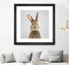 Rabbit - Colorful by Gal Pittel on GIANT ART - brown photo manipulation