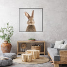 Rabbit - Colorful by Gal Pittel on GIANT ART - brown photo manipulation