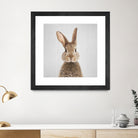 Rabbit - Colorful by Gal Pittel on GIANT ART - brown photo manipulation