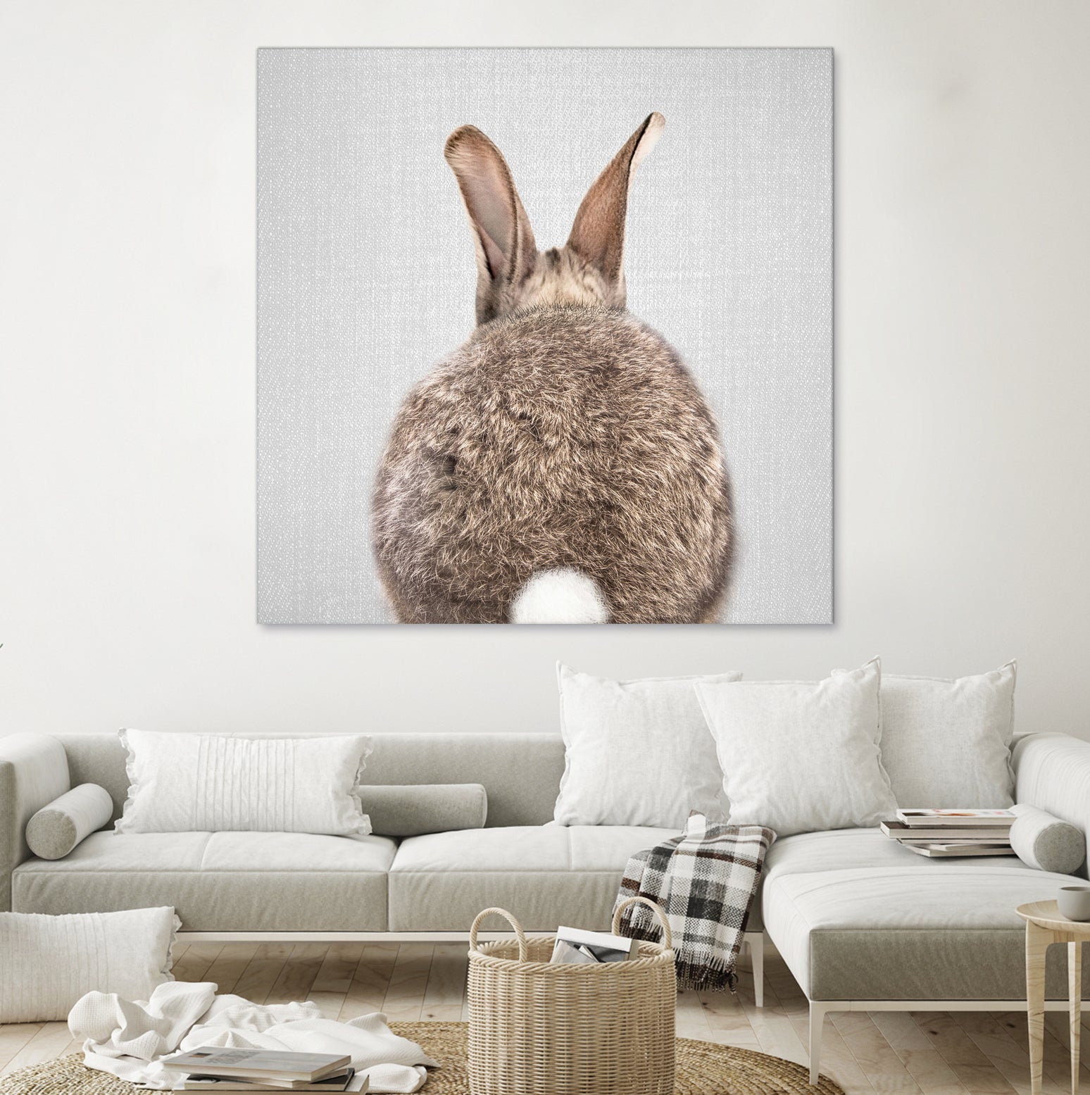 Rabbit Tail - Colorful by Gal Pittel on GIANT ART - brown photo illustration