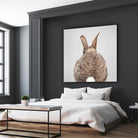 Rabbit Tail - Colorful by Gal Pittel on GIANT ART - brown photo illustration