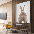 Rabbit Tail - Colorful by Gal Pittel on GIANT ART - brown photo illustration