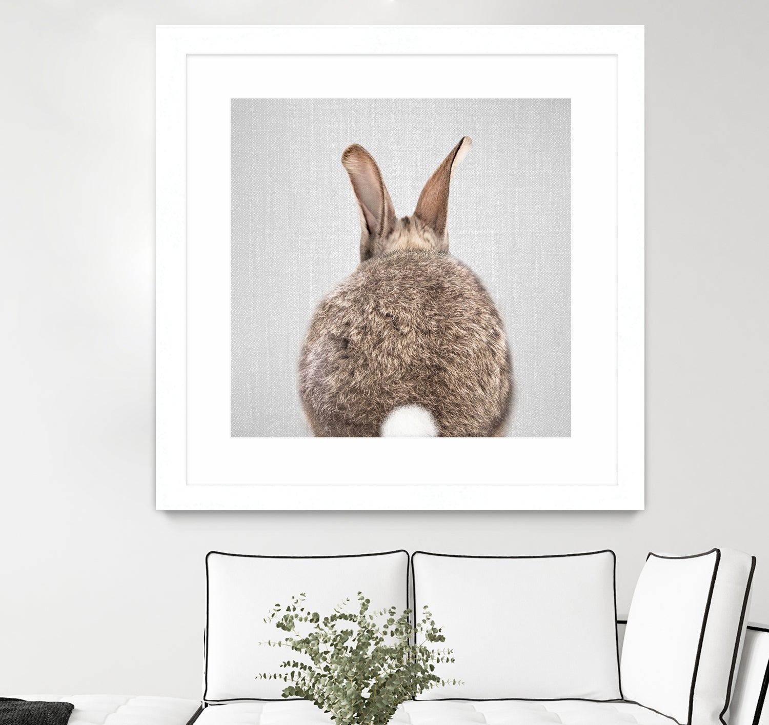 Rabbit Tail - Colorful by Gal Pittel on GIANT ART - brown photo illustration