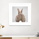 Rabbit Tail - Colorful by Gal Pittel on GIANT ART - brown photo illustration