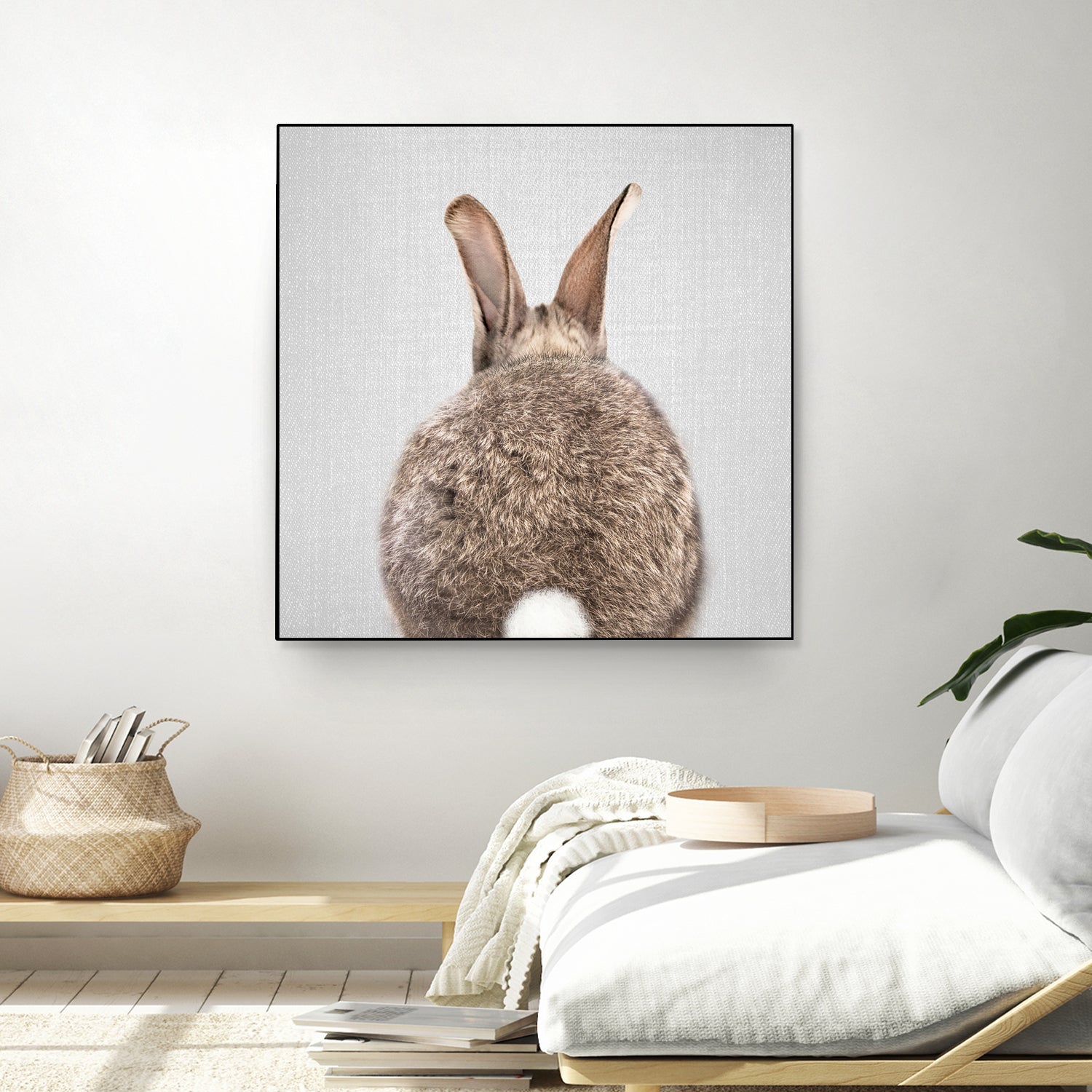 Rabbit Tail - Colorful by Gal Pittel on GIANT ART - brown photo illustration