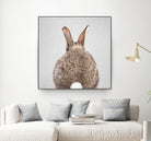 Rabbit Tail - Colorful by Gal Pittel on GIANT ART - brown photo illustration