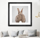 Rabbit Tail - Colorful by Gal Pittel on GIANT ART - brown photo illustration