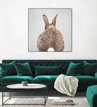 Rabbit Tail - Colorful by Gal Pittel on GIANT ART - brown photo illustration