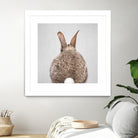 Rabbit Tail - Colorful by Gal Pittel on GIANT ART - brown photo illustration