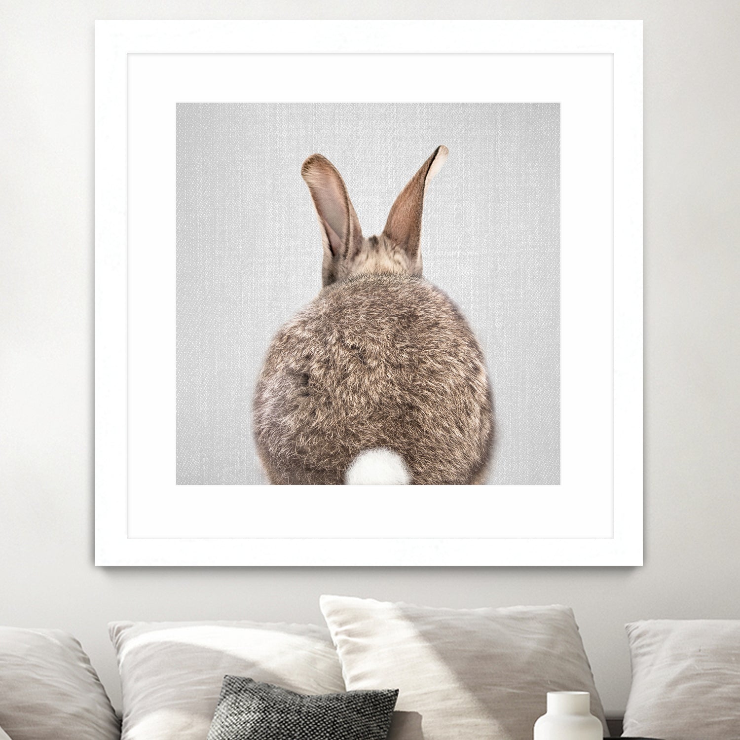 Rabbit Tail - Colorful by Gal Pittel on GIANT ART - brown photo illustration