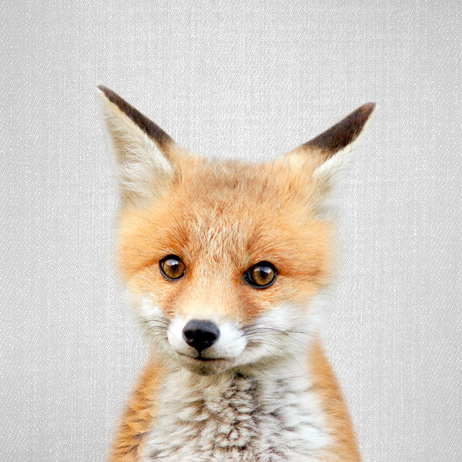 Baby Fox - Colorful by Gal Pittel on GIANT ART - orange photo illustration