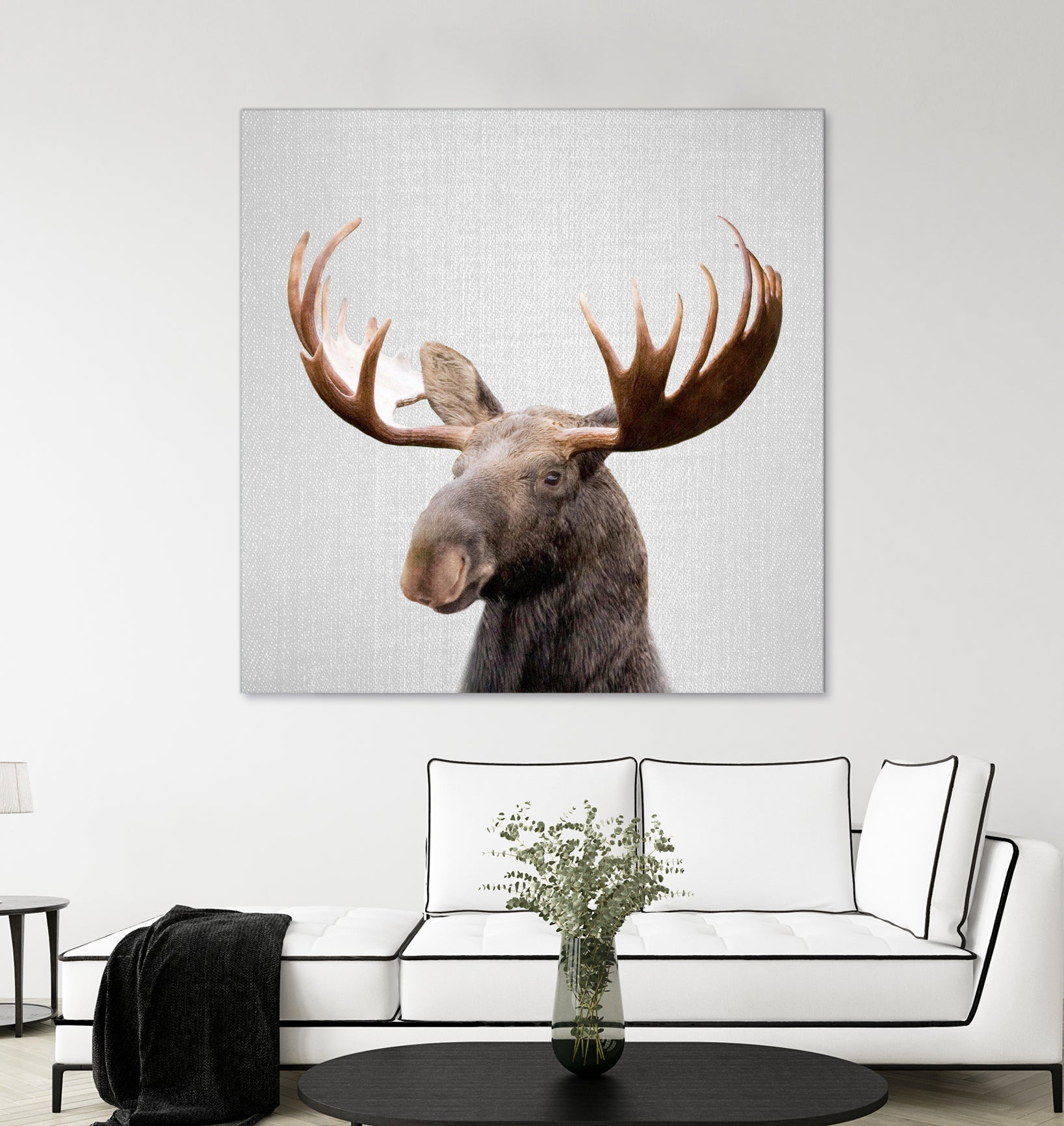 Moose - Colorful by Gal Pittel on GIANT ART - brown photo illustration