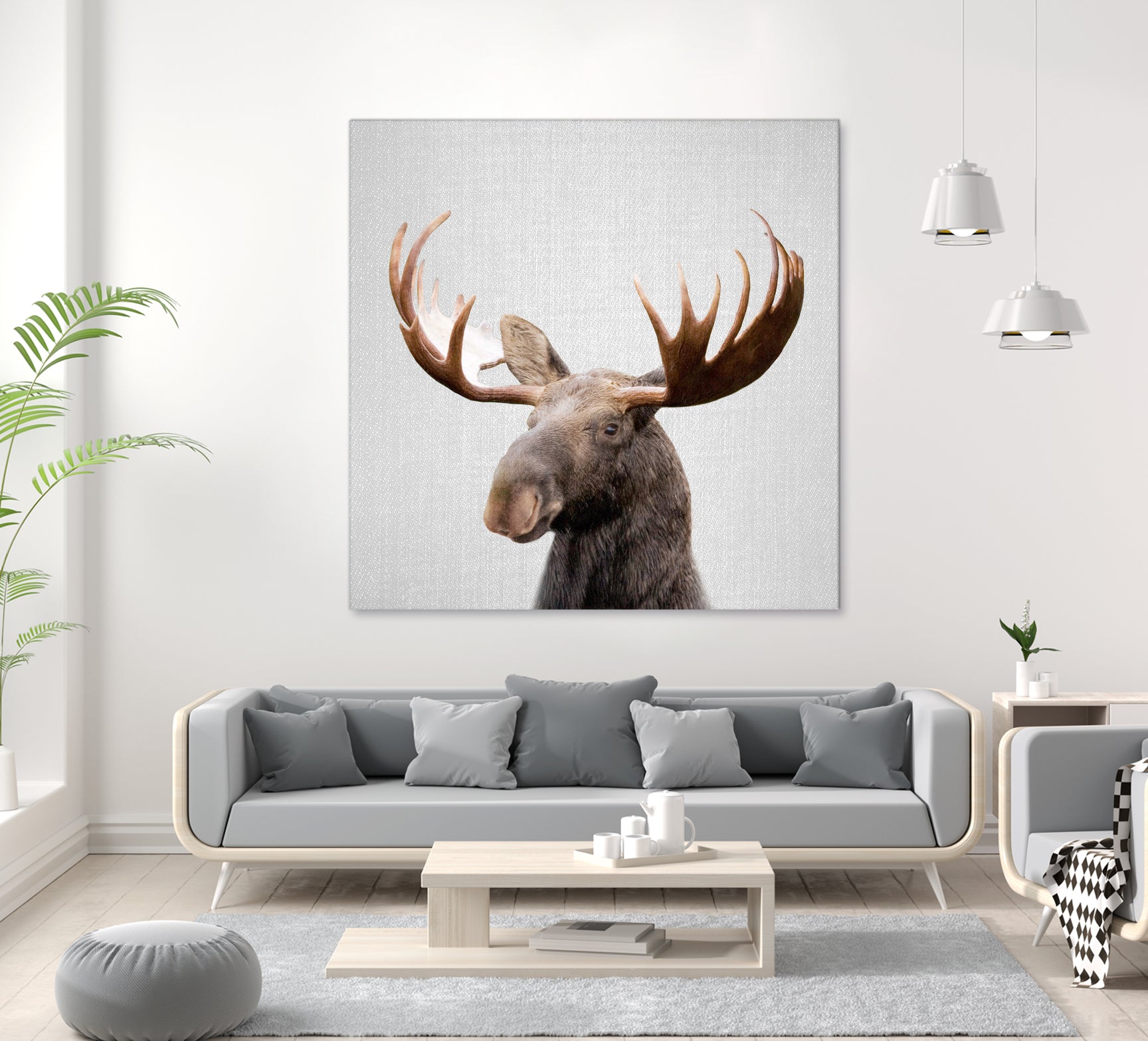 Moose - Colorful by Gal Pittel on GIANT ART - brown photo illustration