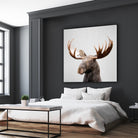 Moose - Colorful by Gal Pittel on GIANT ART - brown photo illustration