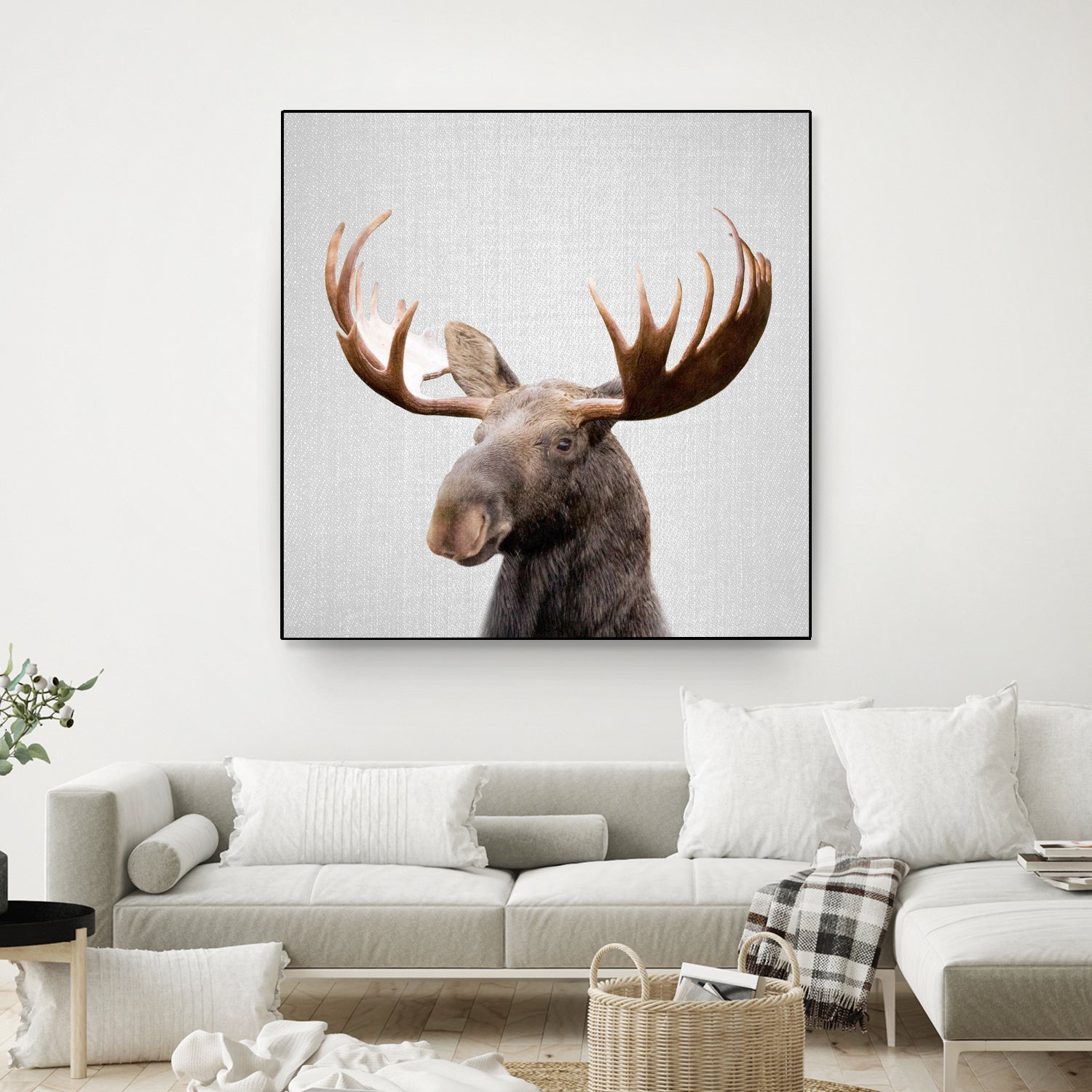 Moose - Colorful by Gal Pittel on GIANT ART - brown photo illustration