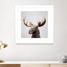 Moose - Colorful by Gal Pittel on GIANT ART - brown photo illustration