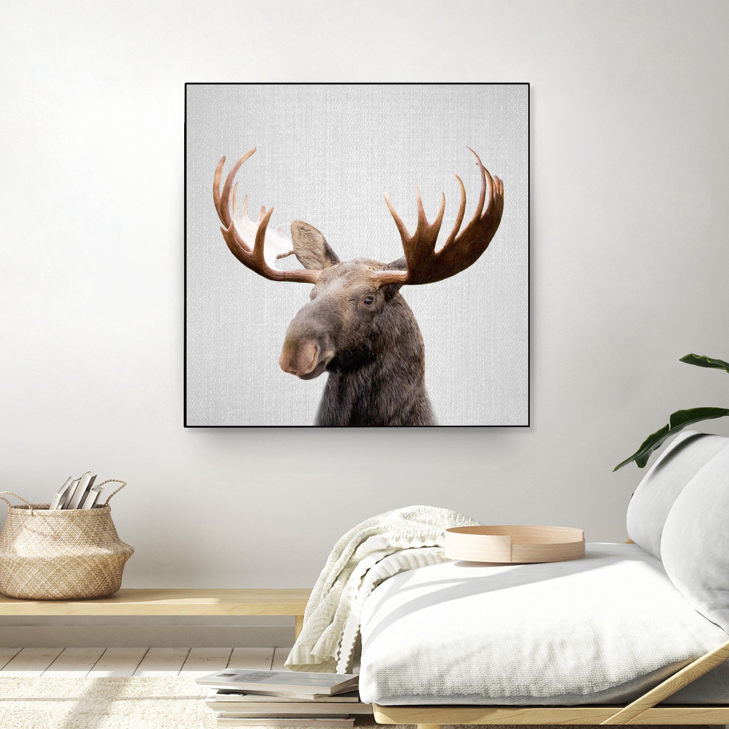 Moose - Colorful by Gal Pittel on GIANT ART - brown photo illustration