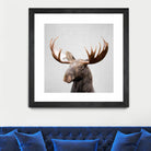 Moose - Colorful by Gal Pittel on GIANT ART - brown photo illustration