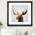 Moose - Colorful by Gal Pittel on GIANT ART - brown photo illustration