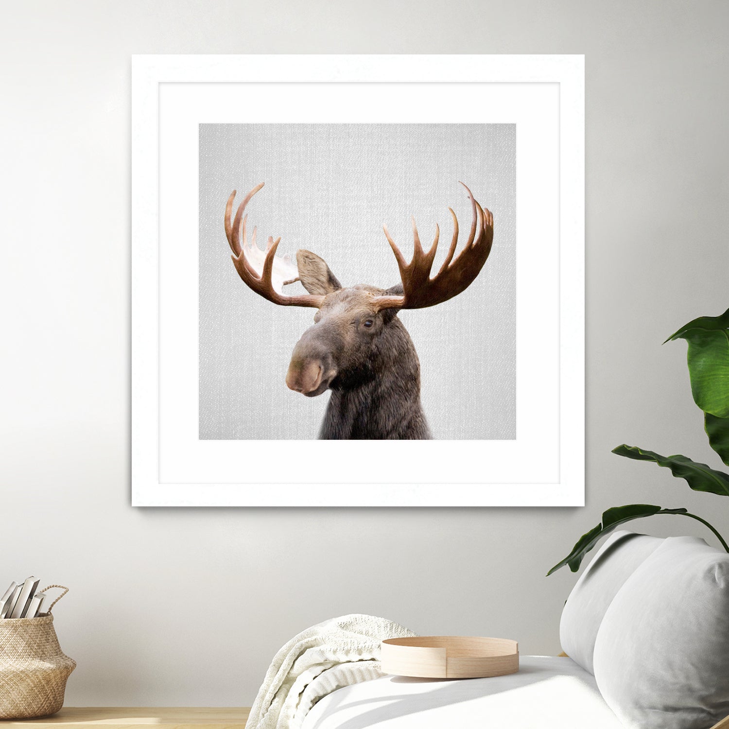 Moose - Colorful by Gal Pittel on GIANT ART - brown photo illustration