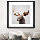 Moose - Colorful by Gal Pittel on GIANT ART - brown photo illustration