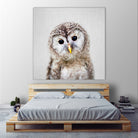 Baby Owl - Colorful by Gal Pittel on GIANT ART - brown digital painting