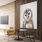 Baby Owl - Colorful by Gal Pittel on GIANT ART - brown digital painting