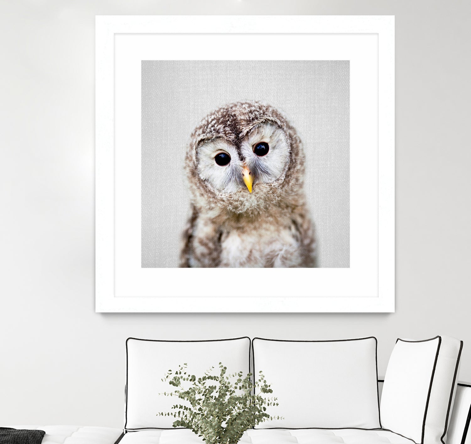 Baby Owl - Colorful by Gal Pittel on GIANT ART - brown digital painting