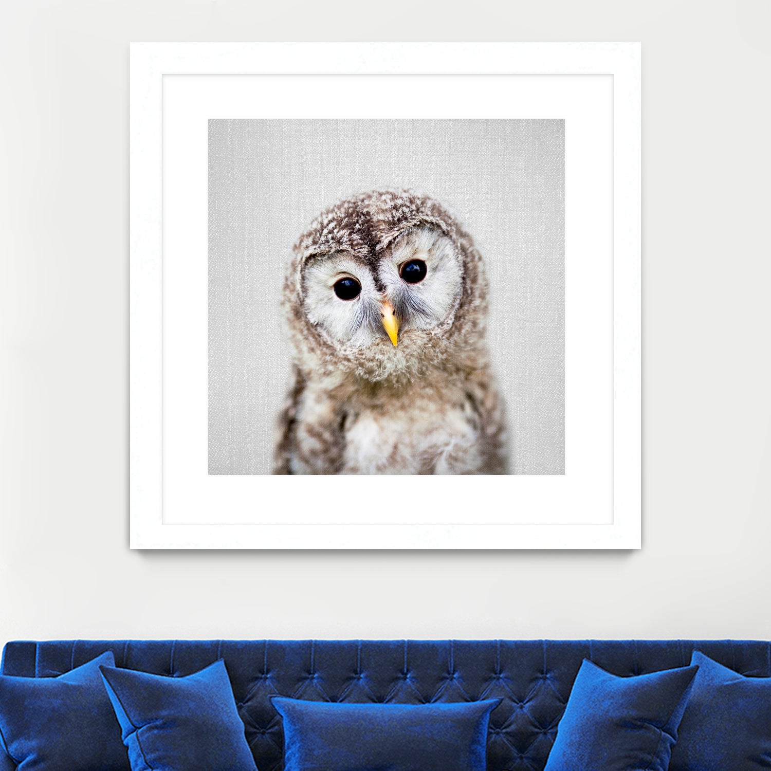 Baby Owl - Colorful by Gal Pittel on GIANT ART - brown digital painting