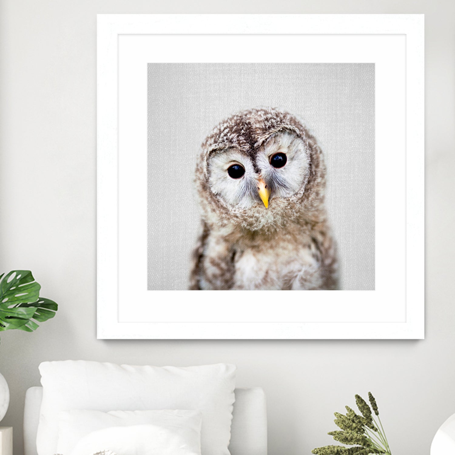 Baby Owl - Colorful by Gal Pittel on GIANT ART - brown digital painting