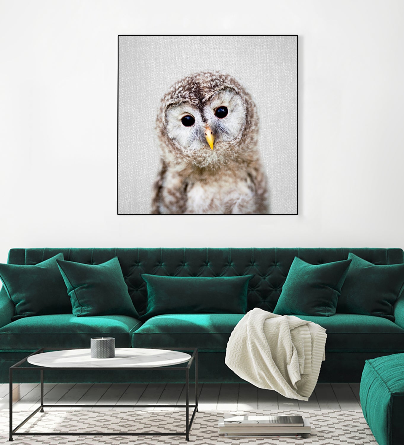 Baby Owl - Colorful by Gal Pittel on GIANT ART - brown digital painting