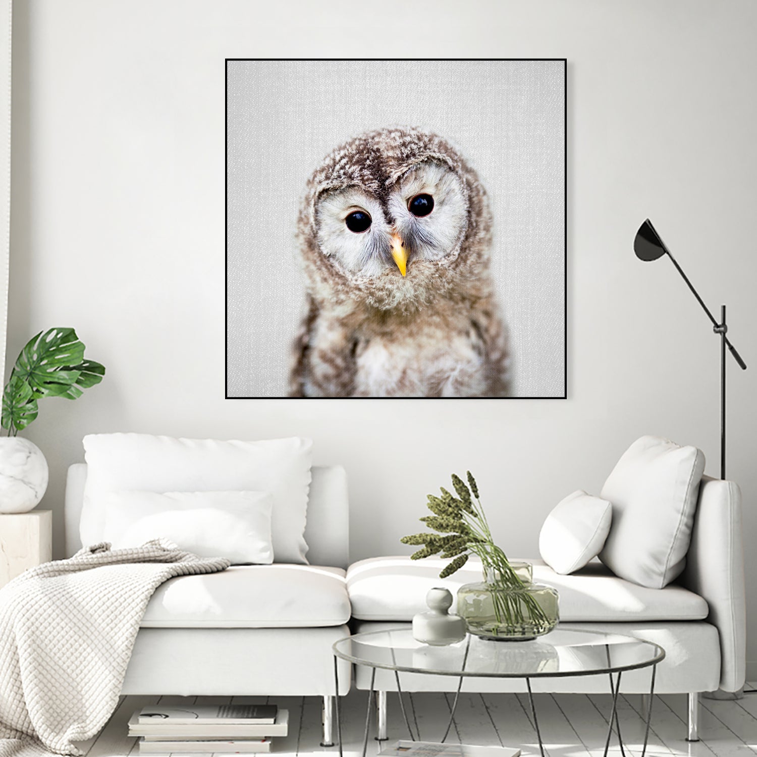 Baby Owl - Colorful by Gal Pittel on GIANT ART - brown digital painting