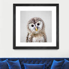 Baby Owl - Colorful by Gal Pittel on GIANT ART - brown digital painting