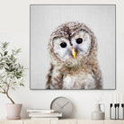 Baby Owl - Colorful by Gal Pittel on GIANT ART - brown digital painting