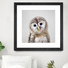 Baby Owl - Colorful by Gal Pittel on GIANT ART - brown digital painting