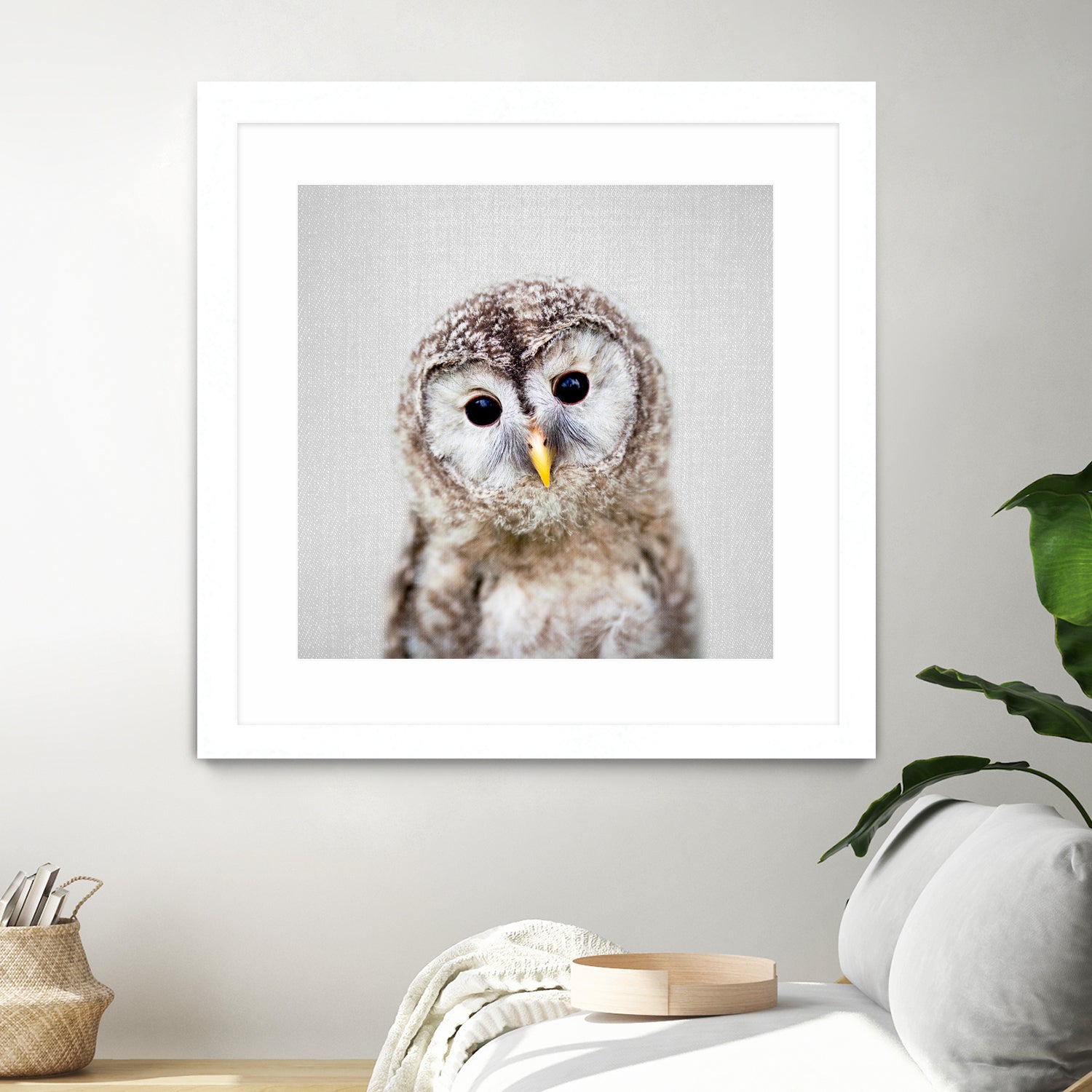 Baby Owl - Colorful by Gal Pittel on GIANT ART - brown digital painting