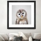 Baby Owl - Colorful by Gal Pittel on GIANT ART - brown digital painting