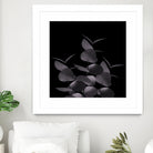 Eucalyptus Leaves Black Black #1 #foliage #decor #art by Anita & Bella Jantz on GIANT ART - black photo illustration