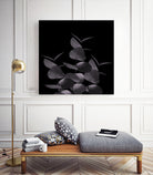 Eucalyptus Leaves Black Black #1 #foliage #decor #art by Anita & Bella Jantz on GIANT ART - black photo illustration