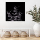 Eucalyptus Leaves Black Black #1 #foliage #decor #art by Anita & Bella Jantz on GIANT ART - black photo illustration