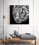 Nightstalker B&W by Marc Allante on GIANT ART - white photo illustration